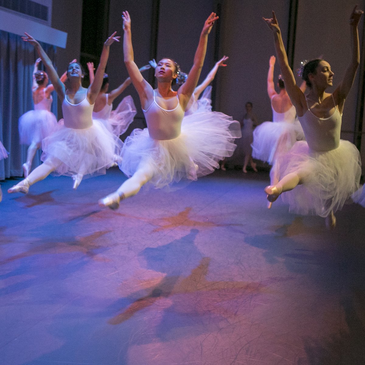 Duke Admissions tweet media