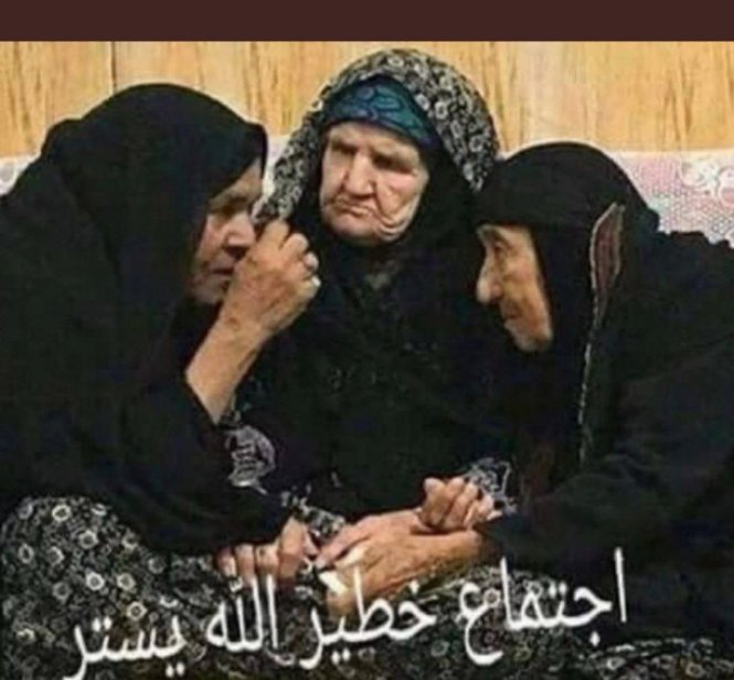 الذيبه tweet media