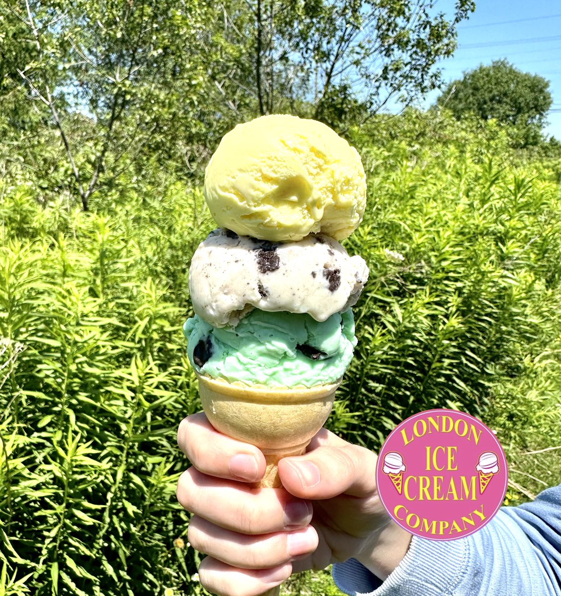 It’s a lovely day. We couldn’t pictures one flavour today. From the 🔝 down : 🍦- Glacier Bay Lemon 🍦- Loaded Cookies & Cream 🍦- Canadian Mint Chunk Our ice cream is sold in many locations around Ontario too. ❤️