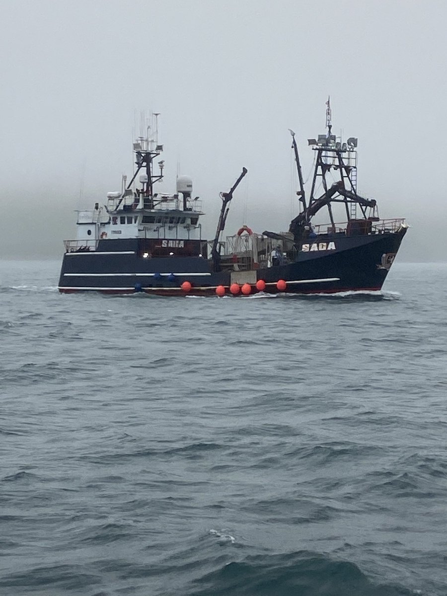 JaymeMcKenna's tweet photo. Trip Update: One just never knows what one might see in #Alaska!
#FVSaga #JakeAnderson #DeadliestCatch https://t.co/PtMlNy9Sqk