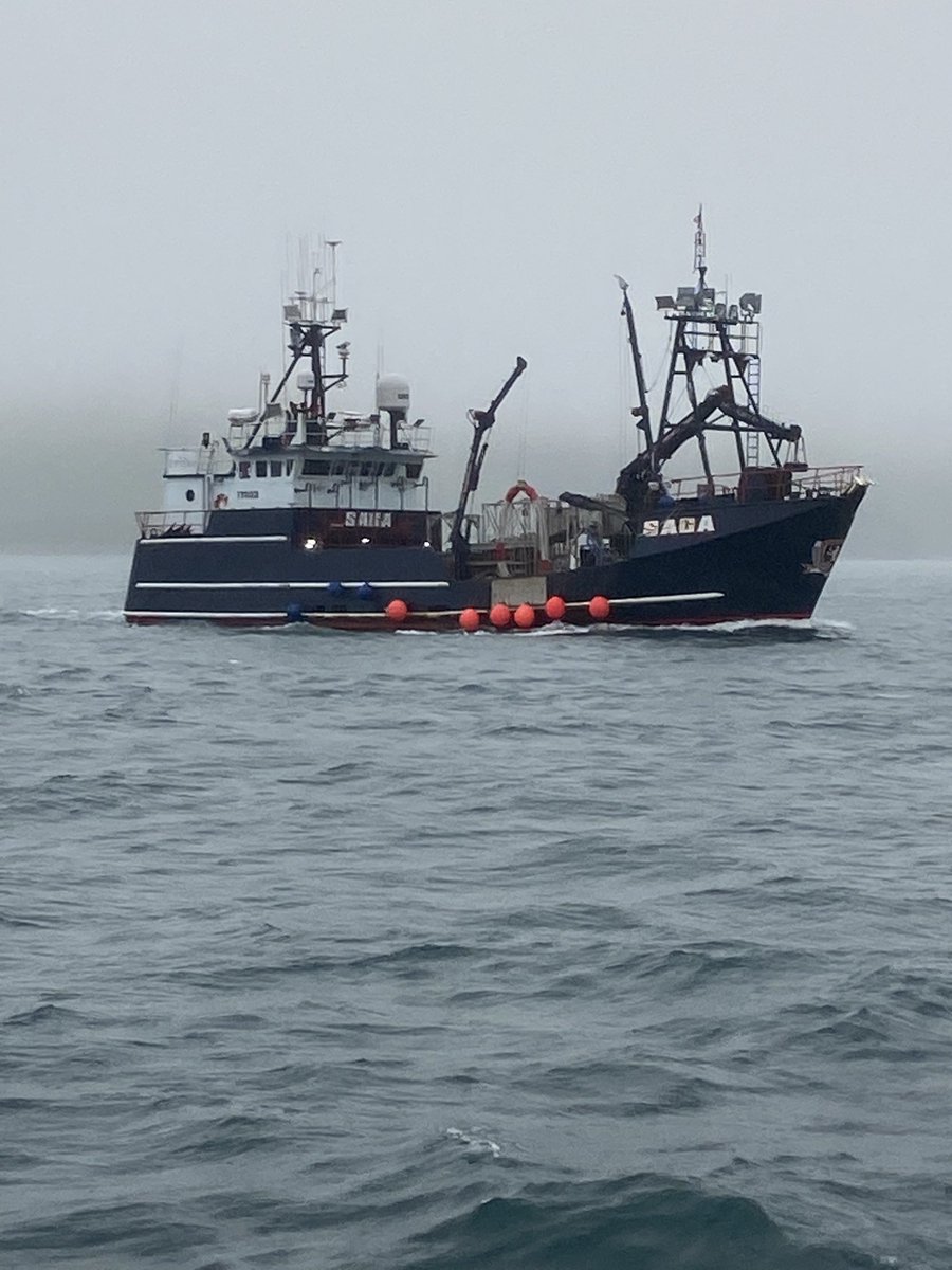 Trip Update: One just never knows what one might see in #Alaska! 

#FVSaga #JakeAnderson #DeadliestCatch