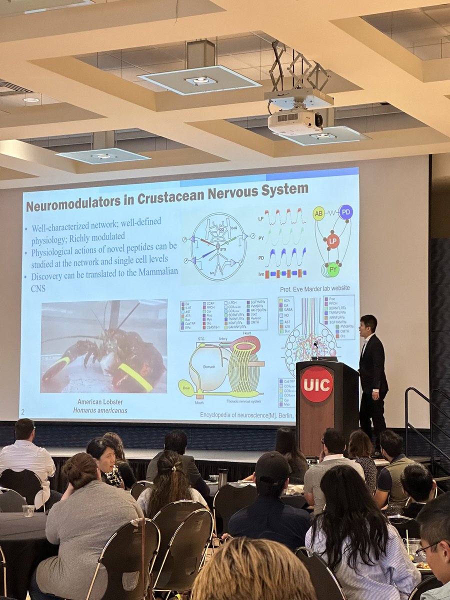 ChiMassSpecDay's tweet image. Kicking off the afternoon talks, we have Gaoyuan Lu of the @LiResearch talking about novel neuropeptides found in American lobster 🦞 by MS!