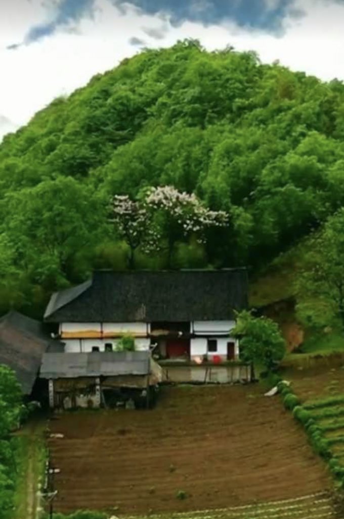 NATURALEZAV3's tweet image. Buenos días.