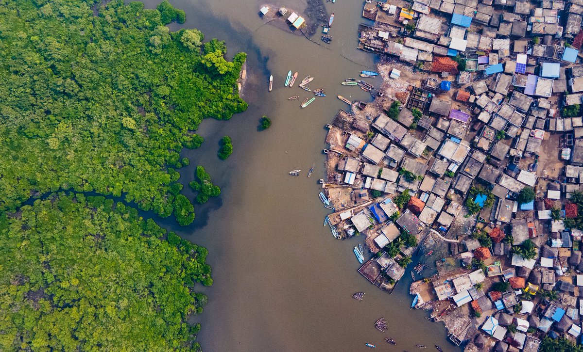Mangrove Action Project tweet media