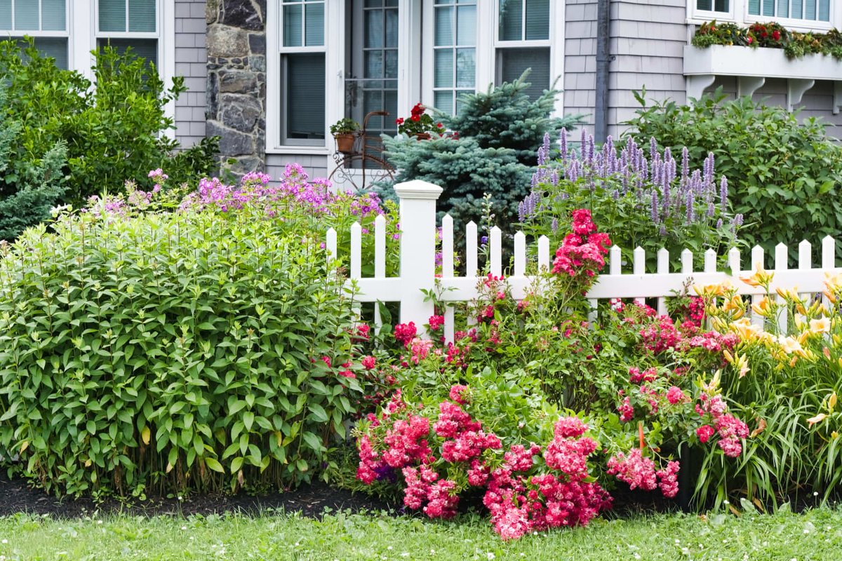 cbcuttingedge's tweet photo. You’ve found a house you absolutely love, but it doesn’t have a backyard. Here are three reasons a house without a yard might still be your dream home. What are your thoughts?

.
.
.
.
.
#ColdwellBanker #RealEstate #Realtor #Re... https://t.co/XpeBxrWSWB https://t.co/uPnuu91Csa