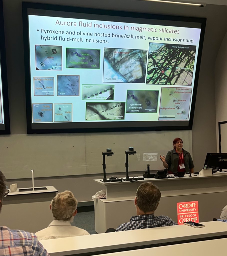 Next up was <a href="/DrKatieMcFall/">Katie McFall</a> who presented work from her post-doc on fluid inclusions from across the northern limb - there’s lots of them there!