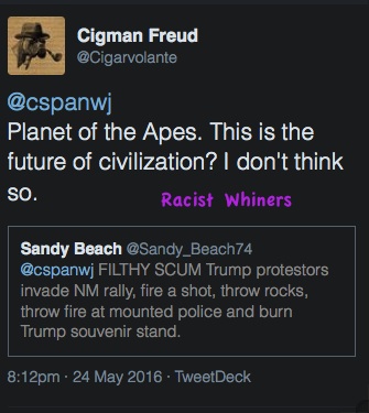 spooney35's tweet photo. @parkstorm @TrayLaPark @cspanwj @GOP @CigmanF Hello !!! This is true, #CigmanFraud on several occasions, has referred to other races as monkeys or apes. He's often conflicted though. https://t.co/GBU2lqJhTO