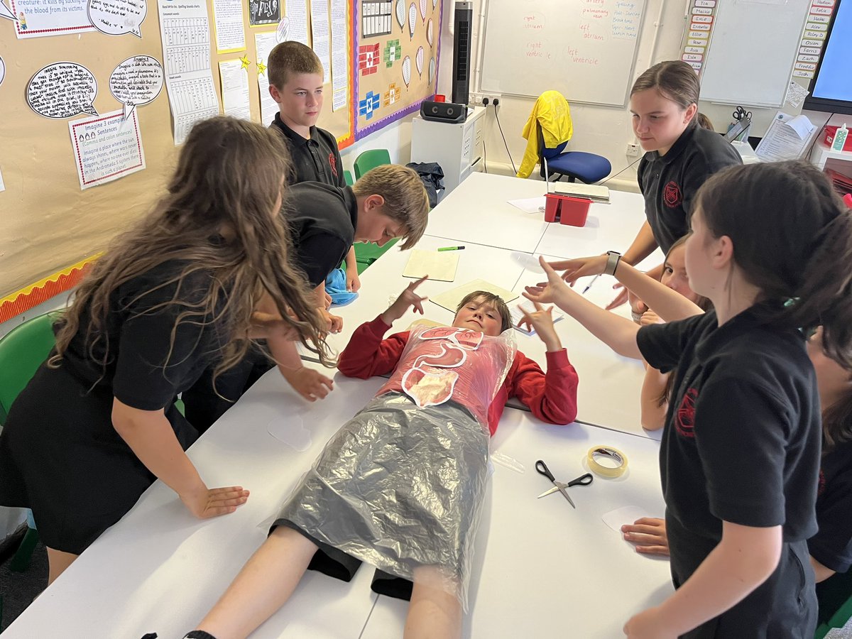 standrewsmajor's tweet photo. We watched the dissection of a kidney, an eye and a heart, and we were then able to hold them 1/3 #SAMsY6 #SAMsScience https://t.co/qJMbZqnR1d