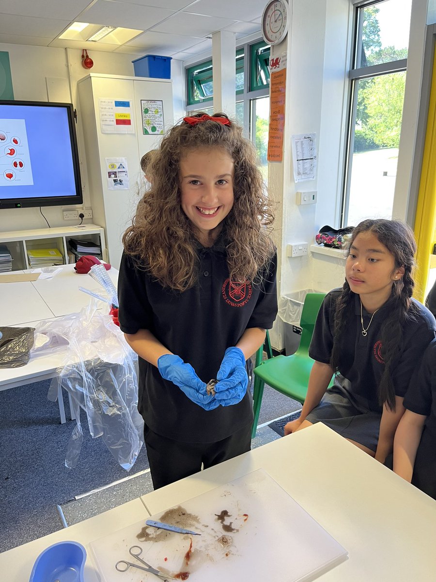 standrewsmajor's tweet photo. We watched the dissection of a kidney, an eye and a heart, and we were then able to hold them 2/3 #SAMsY6 #SAMsScience https://t.co/fyUfQkIMvF