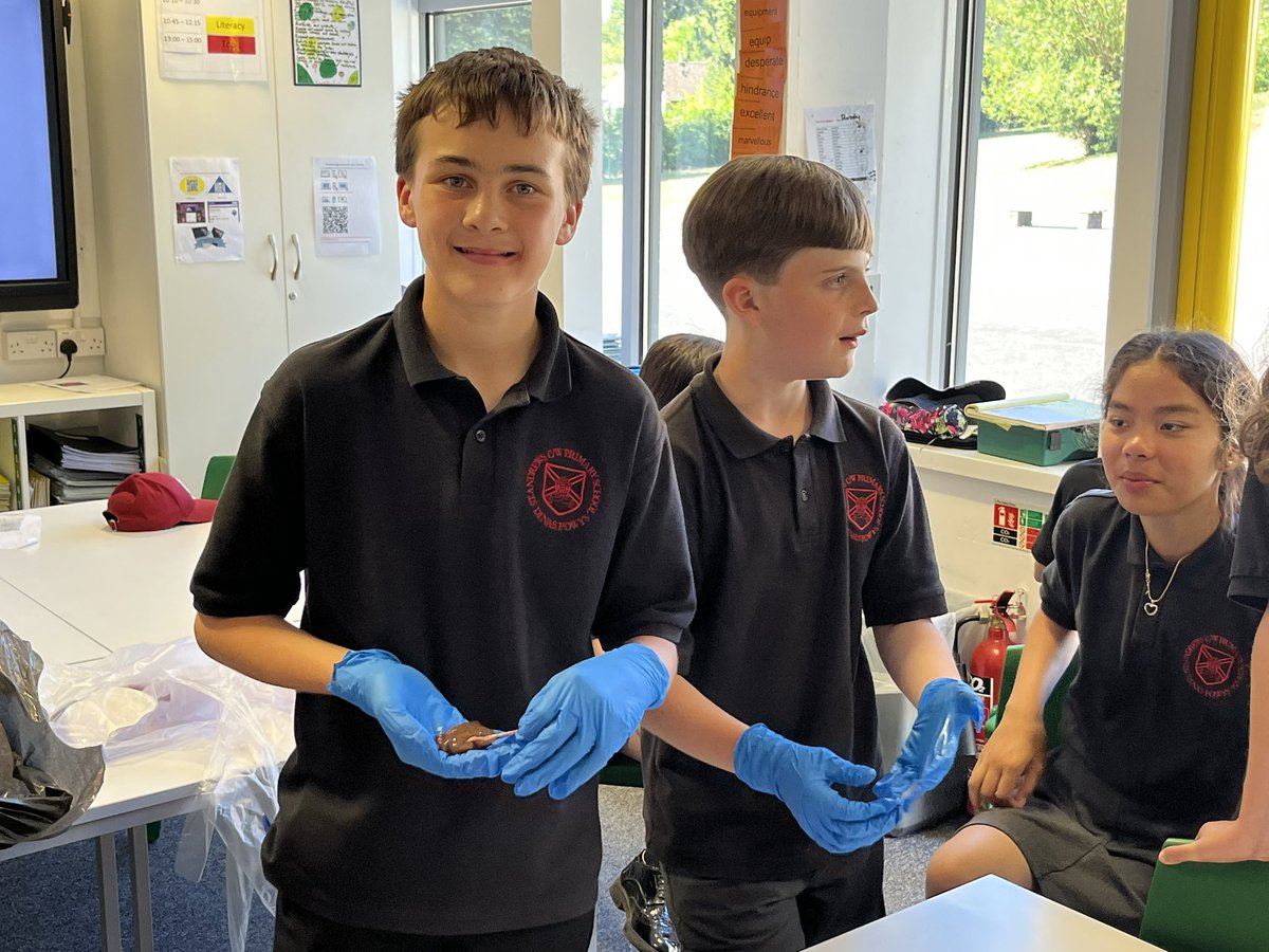 standrewsmajor's tweet photo. We watched the dissection of a kidney, an eye and a heart, and we were then able to hold them 2/3 #SAMsY6 #SAMsScience https://t.co/fyUfQkIMvF