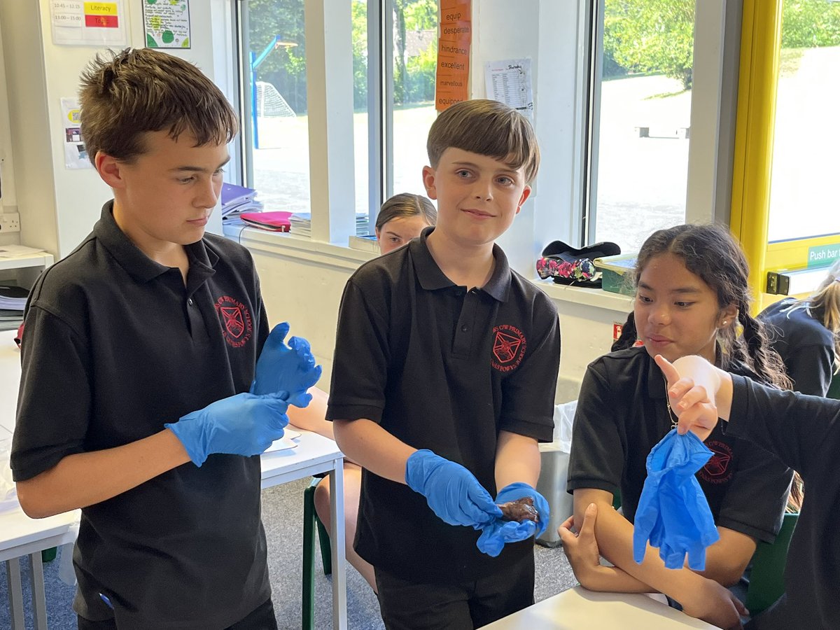 standrewsmajor's tweet photo. We watched the dissection of a kidney, an eye and a heart, and we were then able to hold them 2/3 #SAMsY6 #SAMsScience https://t.co/fyUfQkIMvF