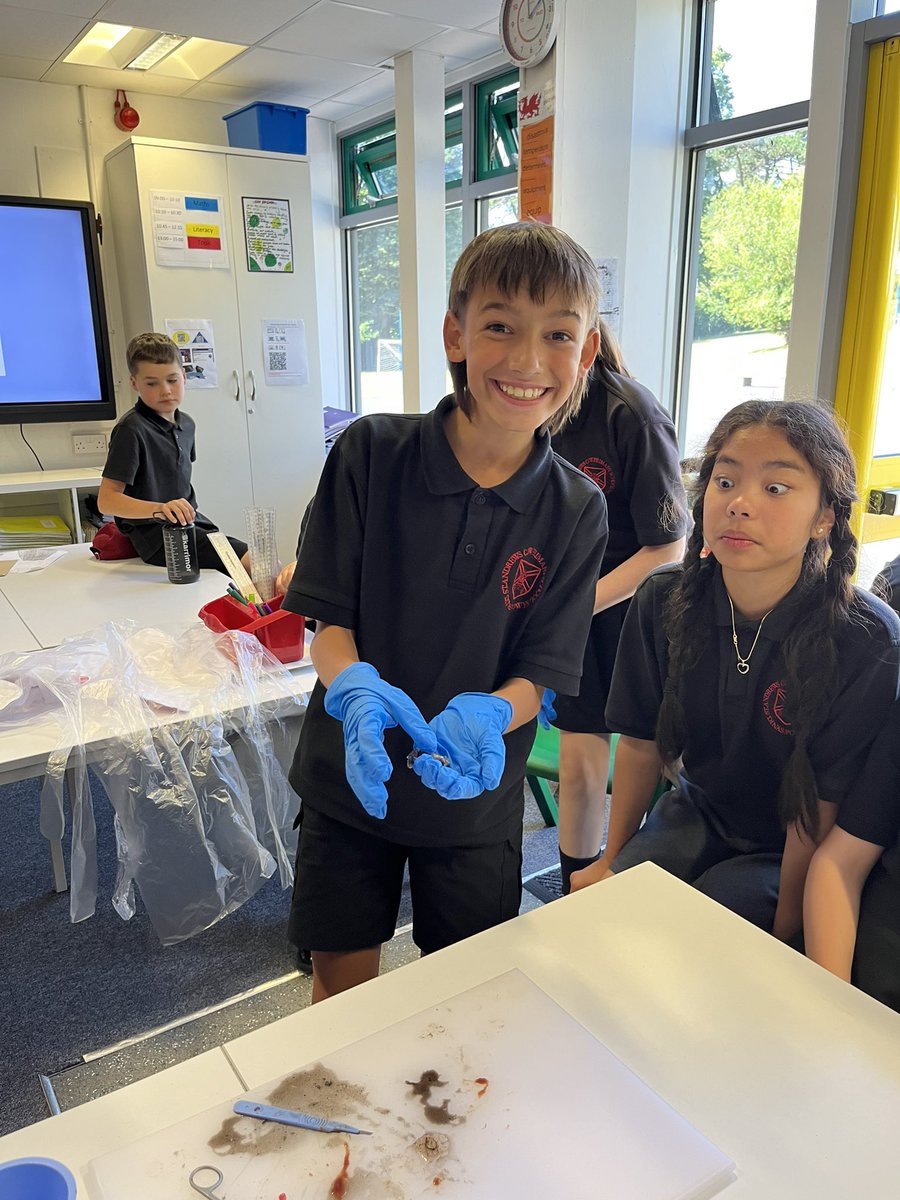 standrewsmajor's tweet photo. We watched the dissection of a kidney, an eye and a heart, and we were then able to hold them 2/3 #SAMsY6 #SAMsScience https://t.co/fyUfQkIMvF