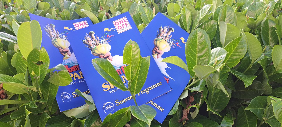 nommcc's tweet photo. Thanks @ScribesDigital , we found the #Spamalot programmes for @OneOff_Hull in the shwubbery !
On sale at @HullTruck next week .
Call the Box Office on 01482 323638 for tickets https://t.co/C5P8r1Y5bj