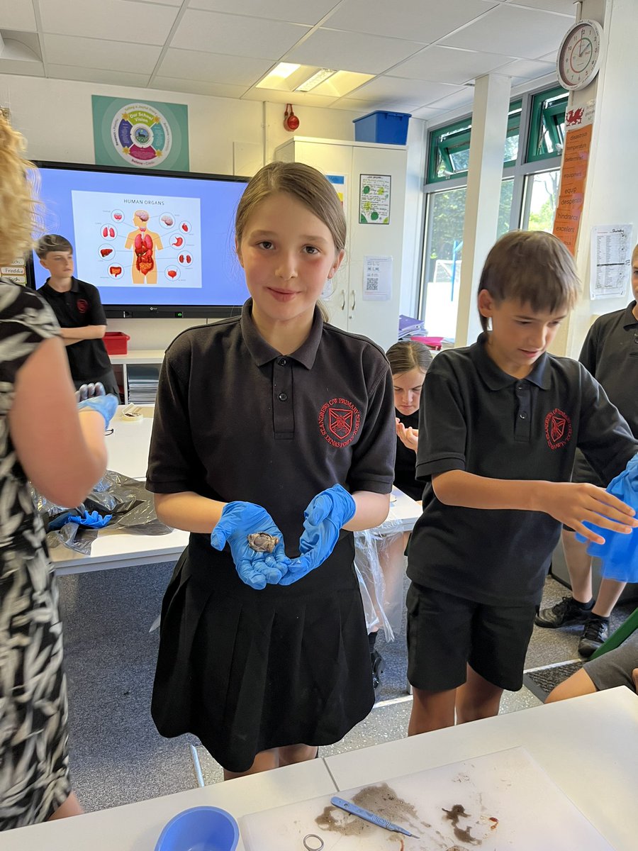 standrewsmajor's tweet photo. We watched the dissection of a kidney, an eye and a heart, and we were then able to hold them 3/3 #SAMsY6 #SAMsScience Thank you to @StCyresSchool for the visit! https://t.co/YwFOyjY78b