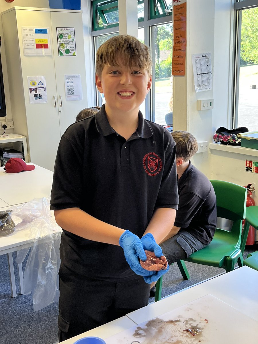 standrewsmajor's tweet photo. We watched the dissection of a kidney, an eye and a heart, and we were then able to hold them 3/3 #SAMsY6 #SAMsScience Thank you to @StCyresSchool for the visit! https://t.co/YwFOyjY78b
