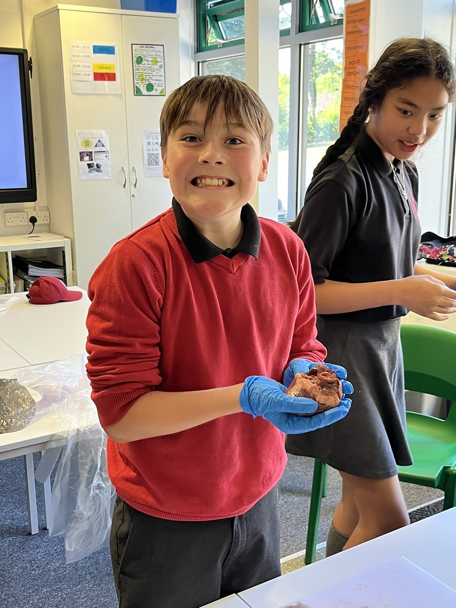 standrewsmajor's tweet photo. We watched the dissection of a kidney, an eye and a heart, and we were then able to hold them 3/3 #SAMsY6 #SAMsScience Thank you to @StCyresSchool for the visit! https://t.co/YwFOyjY78b