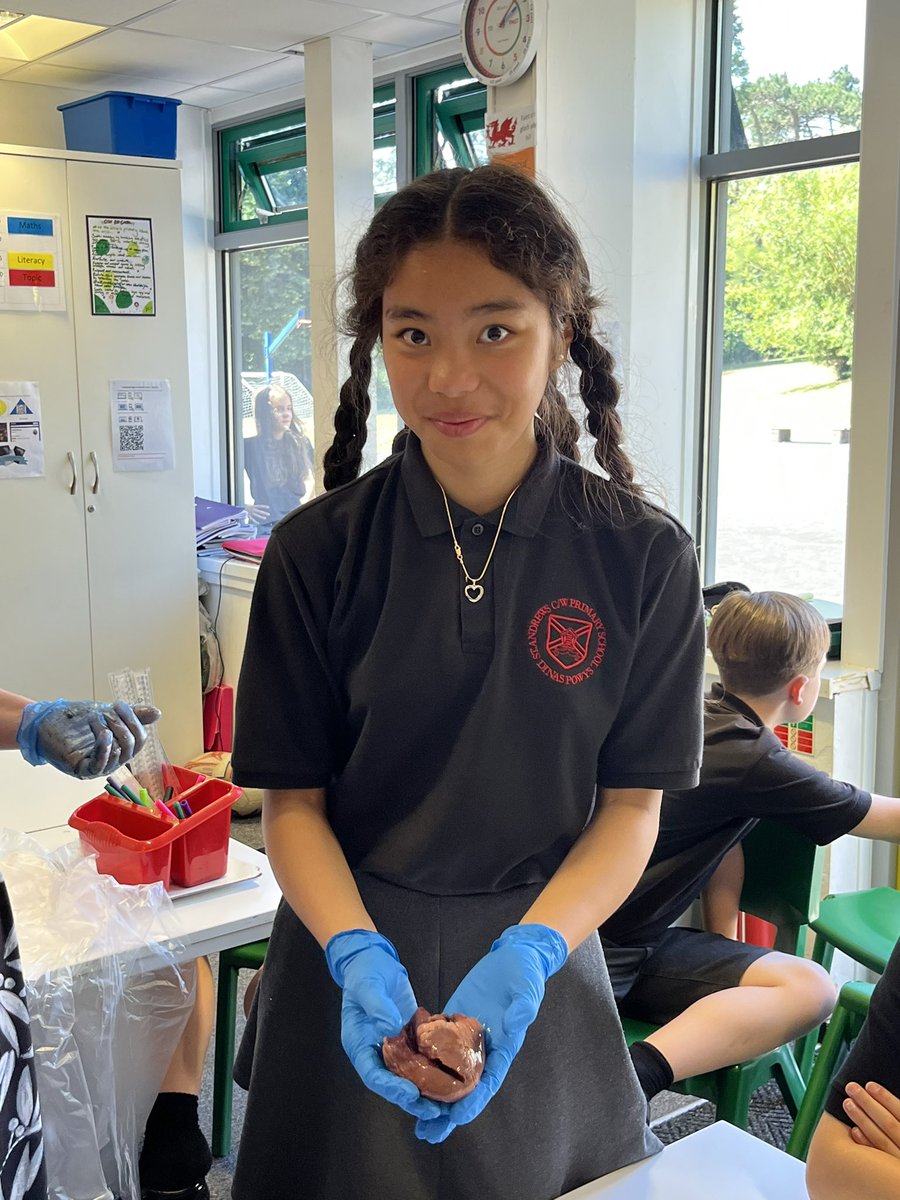 standrewsmajor's tweet photo. We watched the dissection of a kidney, an eye and a heart, and we were then able to hold them 3/3 #SAMsY6 #SAMsScience Thank you to @StCyresSchool for the visit! https://t.co/YwFOyjY78b