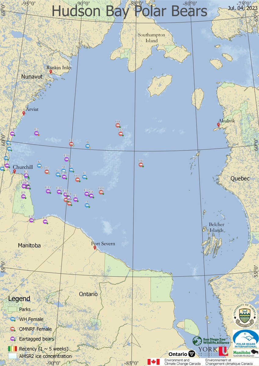 Andrew Derocher tweet media