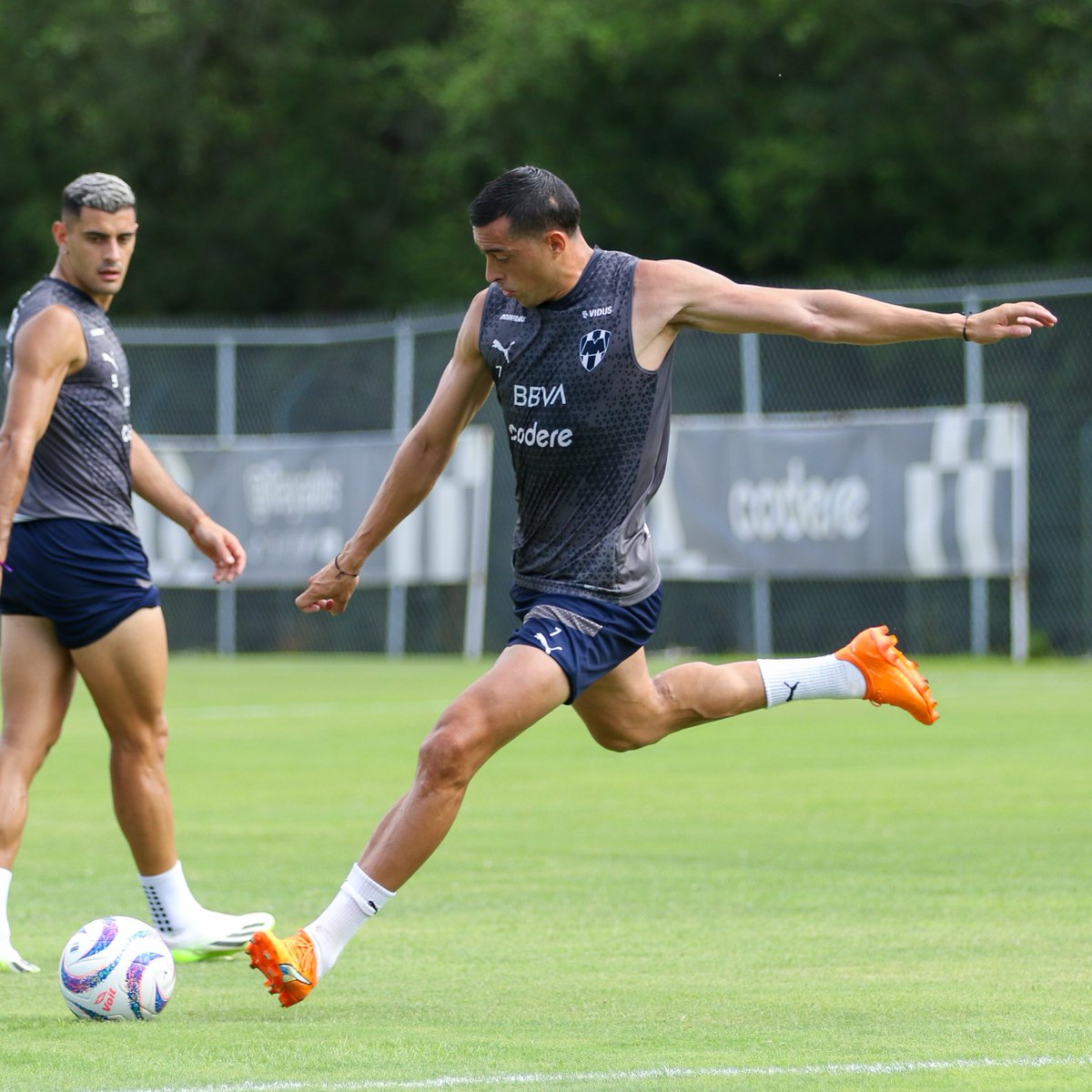 Rayados tweet picture