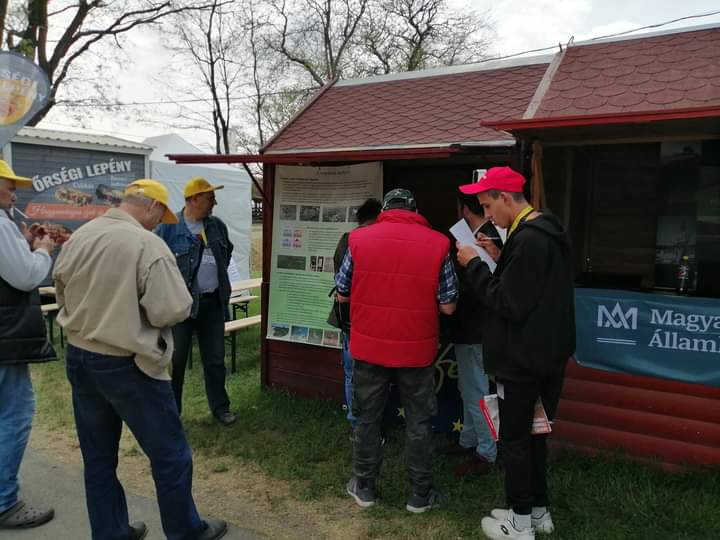 LIFEforBUGSand1's tweet photo. As in last year, we have participated in the Alföld Animal Husbandry Days in Hódmezővásárhely, southern Hungary, where visitors could find us at two stands. https://t.co/Du6l6FPgcv