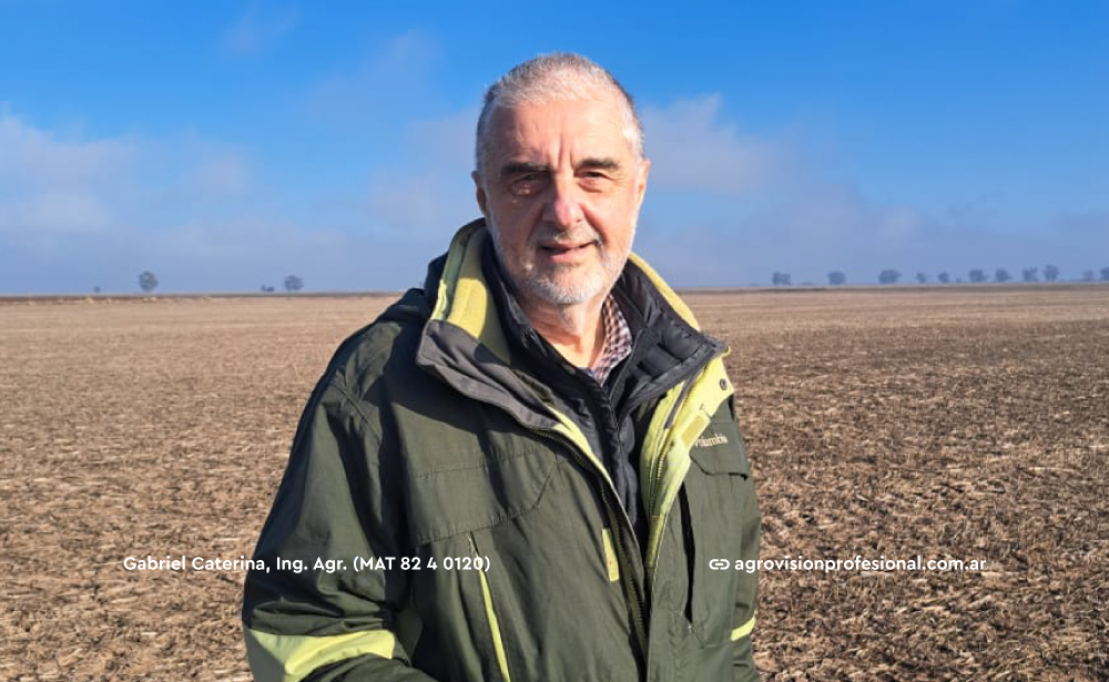 agrovisionprof's tweet photo. 👨‍🌾 Como representante del Colegio en Acsoja, Gabriel Caterina contó que el CIASFE participa dentro del sector servicios de esa entidad: “se elige dentro de cada sector un representante que a su vez forma parte del Comité Ejecutivo, donde yo estoy como pro secretario”

#soja #agro https://t.co/04JZyGrKqf