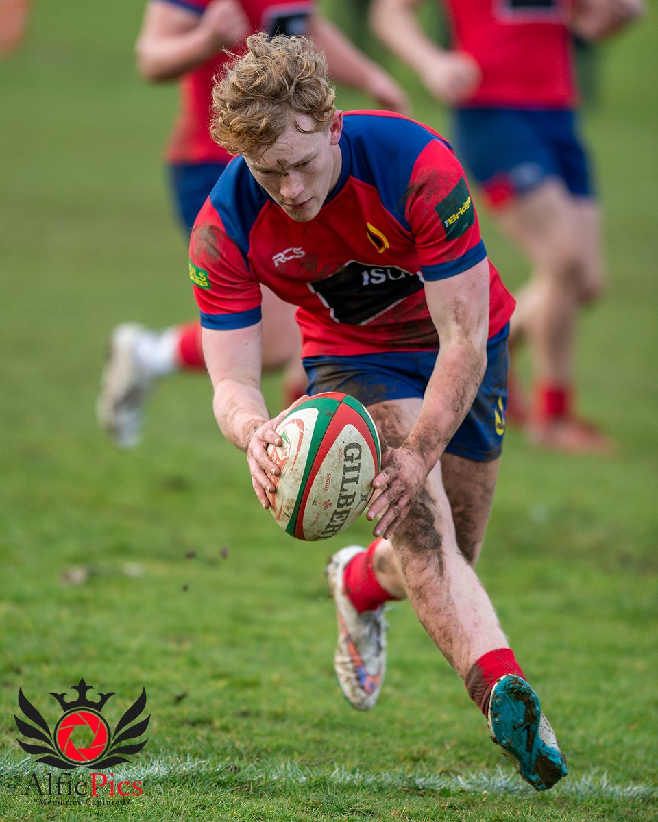 Alfiepics tweet media