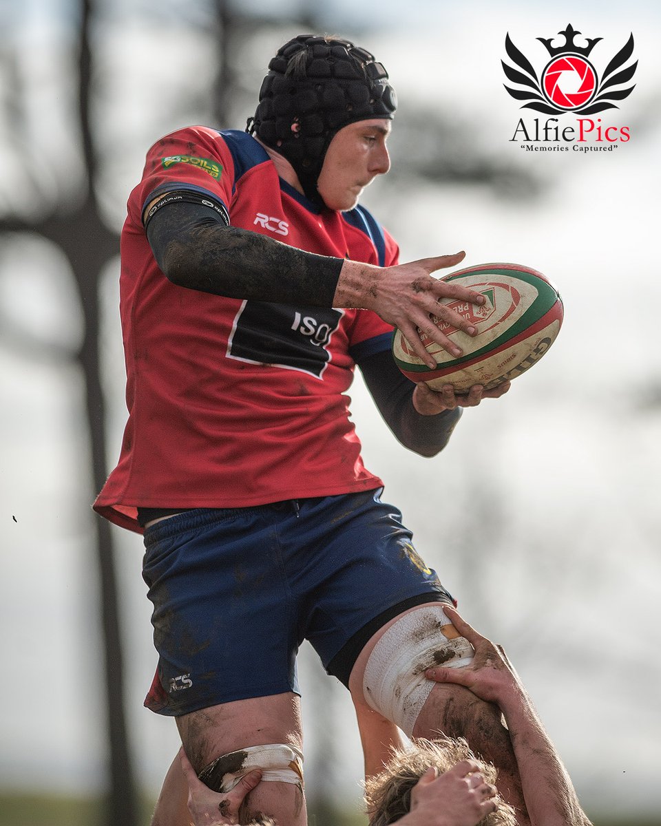 Alfiepics tweet media