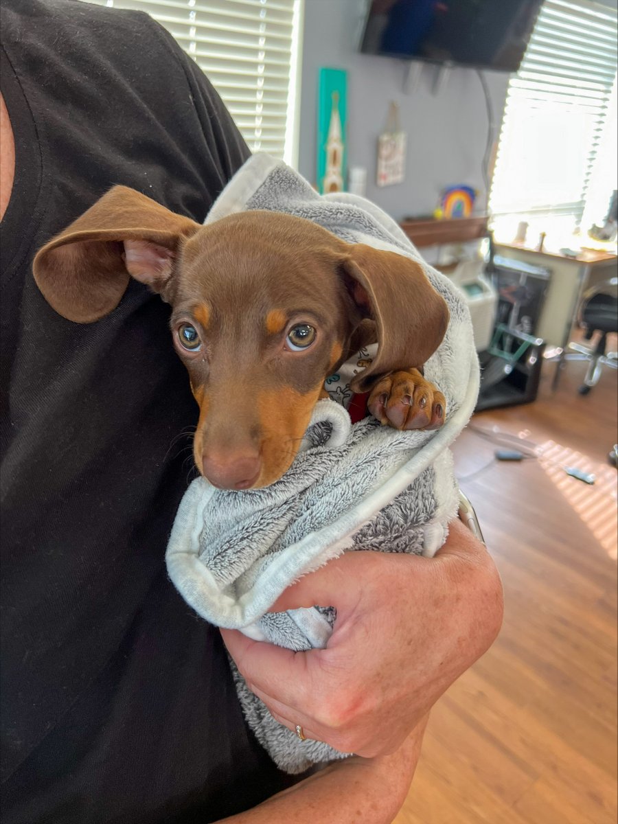 HealthPRO Heritage tweet media