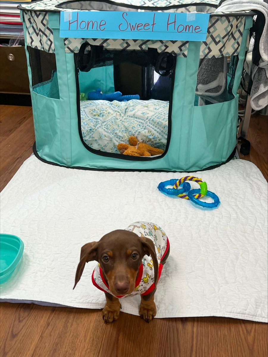 HealthPRO Heritage tweet media