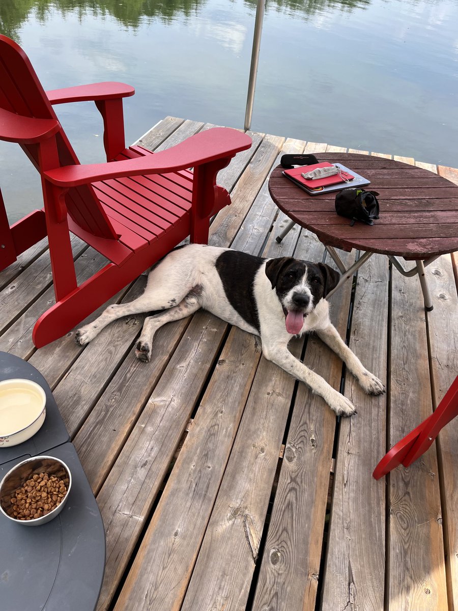 Ian Colman tweet media