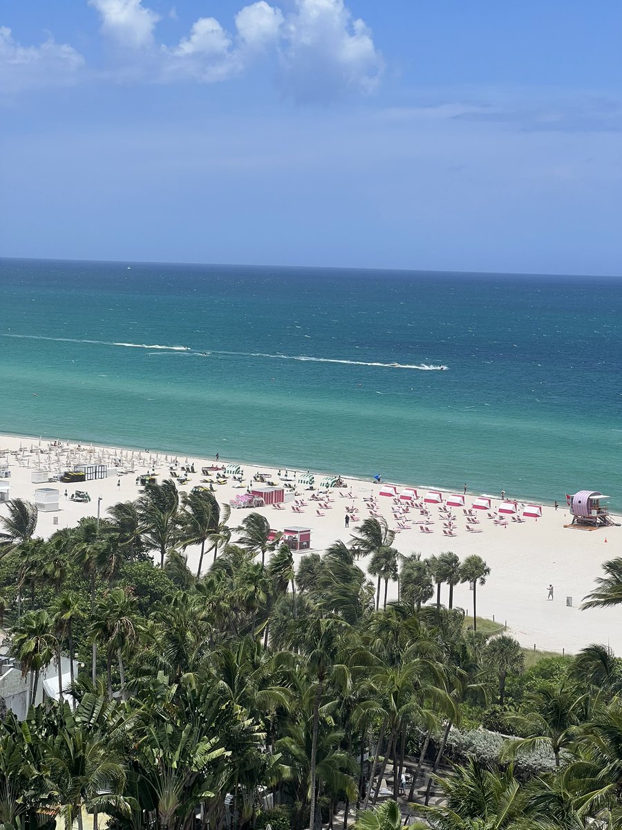 RubioSasa's tweet photo. Miami 2023 https://t.co/dysYQFgm0t