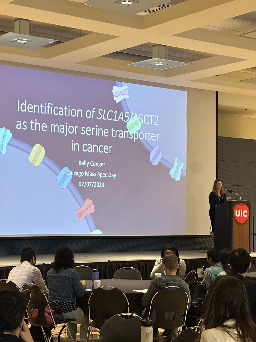 ChiMassSpecDay's tweet image. Next up is @KellyConger22 of the @ColoffLab sharing some new findings in breast cancer using GC-MS! #cmsd2023