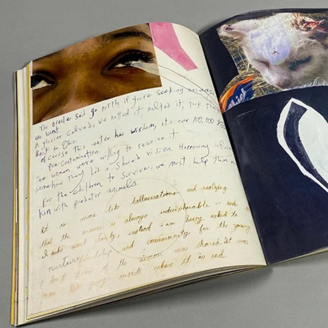 SFCinematheque's tweet image. Cinematheque bookstore highlights…⁠ FERAL DOMESTIC by Dani and Sheilah #ReStack *new to store* ⁠bit.ly/3rgu54S Join Cinematheque and pick up your copy of FERAL DOMESTIC at San Francisco Art Book Fair! July 13-16 at Minnesota Street Project! #sfabf #experimentalfilm