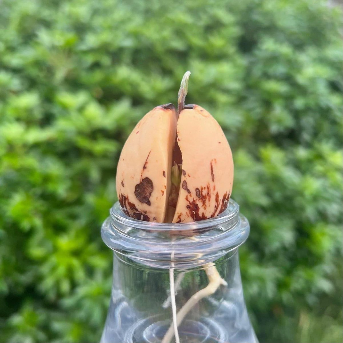 Mud & Bloom🌱 tweet media