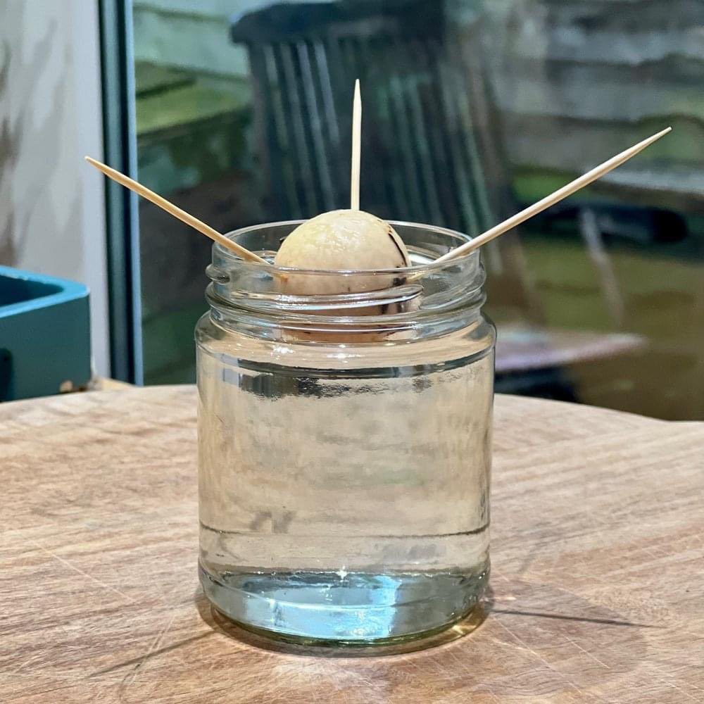 Mud & Bloom🌱 tweet media