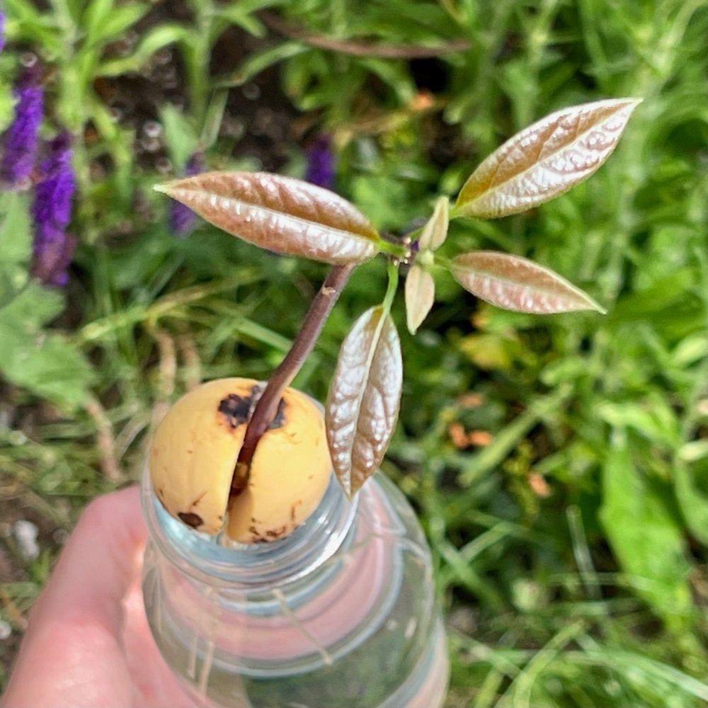 Mud & Bloom🌱 tweet media