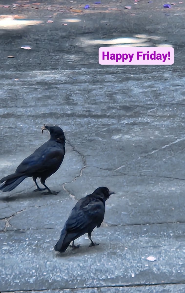 Ellen Rand tweet media