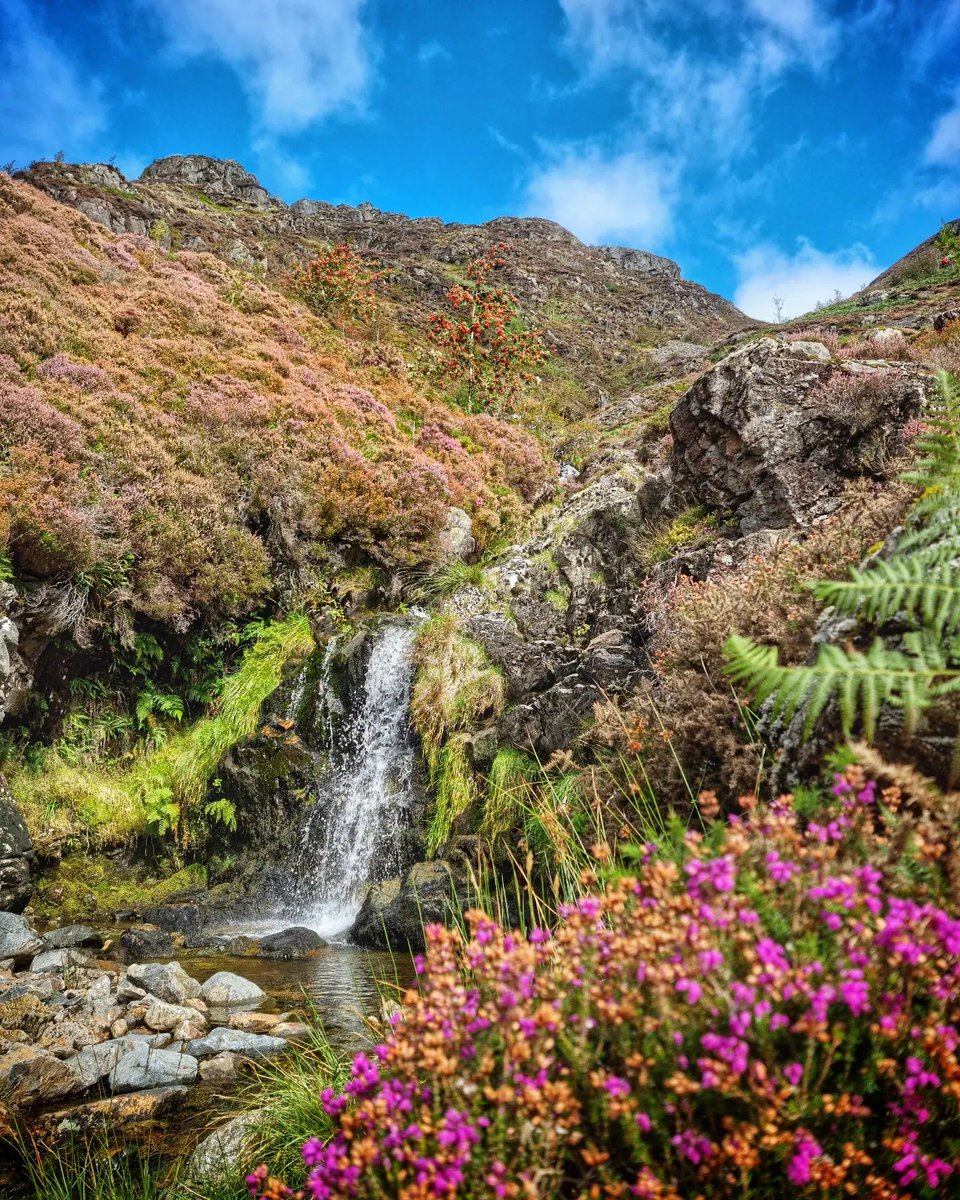 📍 Snowdonia, Wales 🏴󠁧󠁢󠁷󠁬󠁳󠁿

Sure to be a popular spot this summer, and for good reason. Would you just look at that? 

What's your favourite part of Snowdonia?

📸: IG/hikingadventurecarl