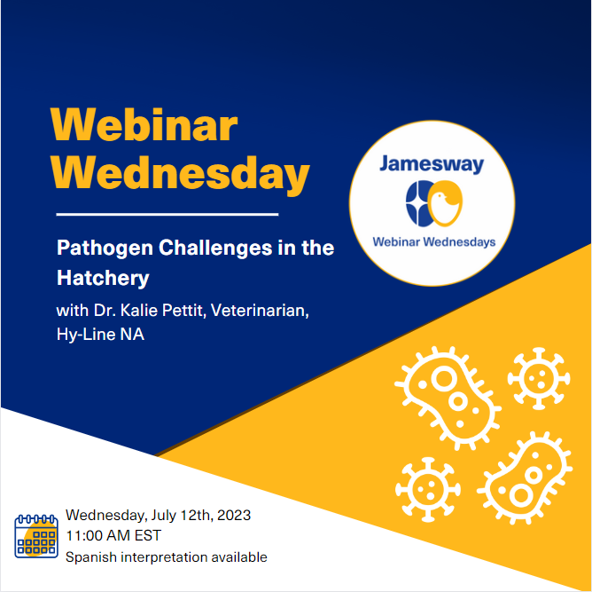 ChickMasterMKT's tweet photo. Join our host Dr. Keith Bramwell for Webinar Wednesday on July 12th at 11am EST featuring Dr. Kalie Pettit from Hy-Line NA.

Click the link below to register:
https://t.co/PvmT5VWI96 
Don't forget to follow us at @Jameswayinc 
sales@jamesway.com
PRT 24/7 Service: +1 226 765-0210 https://t.co/tPWc0nysfN