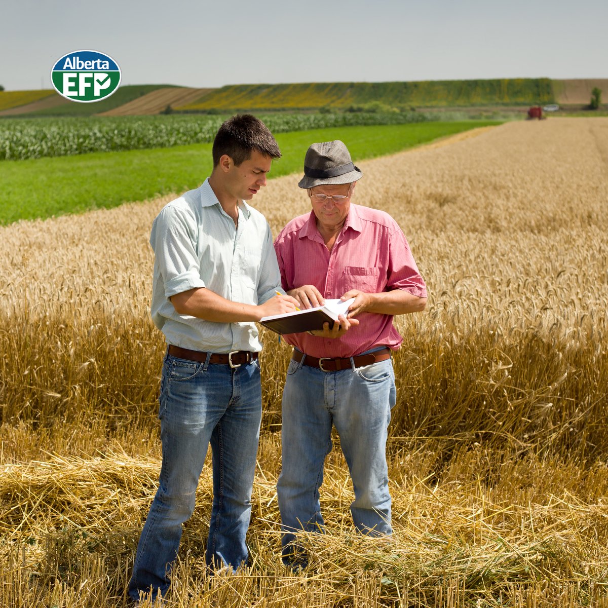 AlbertaEFP's tweet image. A healthy relationship between agriculture and the environment is crucial for the industry's sustainability. But how can we achieve this? One solution is to use management practices that work within the limits of our natural resources. #sustainability #farming #AEFP