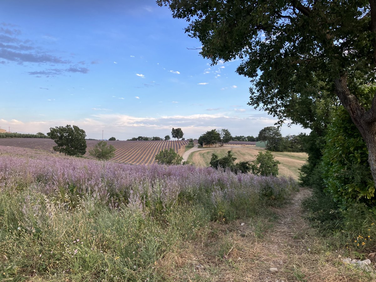 Posée au vert et à l’air pur. #HauteProvence