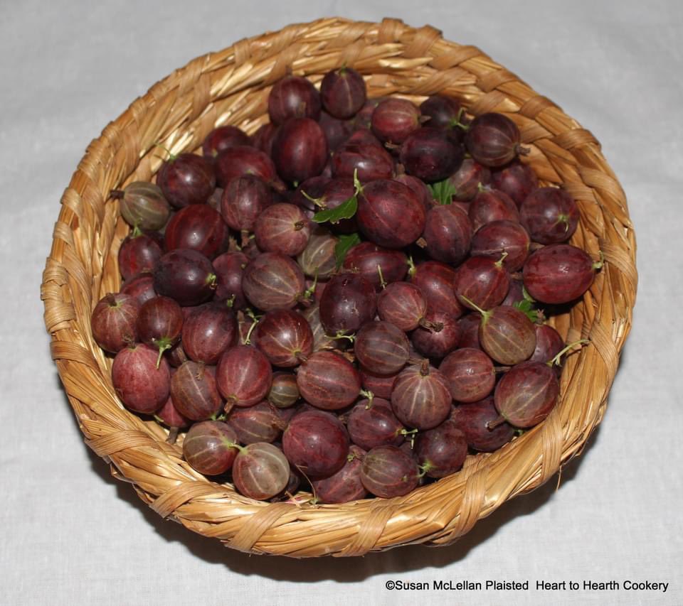 HouseMoland's tweet photo. Join us Sunday for an Open House that will include tours, woodworking demonstration and baking with gooseberries in our colonial kitchen. Tickets are $7 and available Sunday in our visitors center. 1:00-4:00.#visitbucks https://t.co/XWo5hOz3al