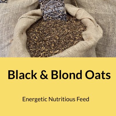 #black&amp;blondOats, #organic #blackoats #Horses #Biodynamic
