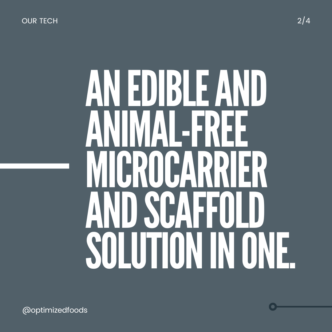 optimizedfoods's tweet photo. What is MycoCarrier™? A cost-effective and well-suited scaffold that facilitates efficient bench-scale and scale-up #cellculture experiments. Learn more here: https://t.co/T2TbqehzBm https://t.co/GWbBTL3ADy