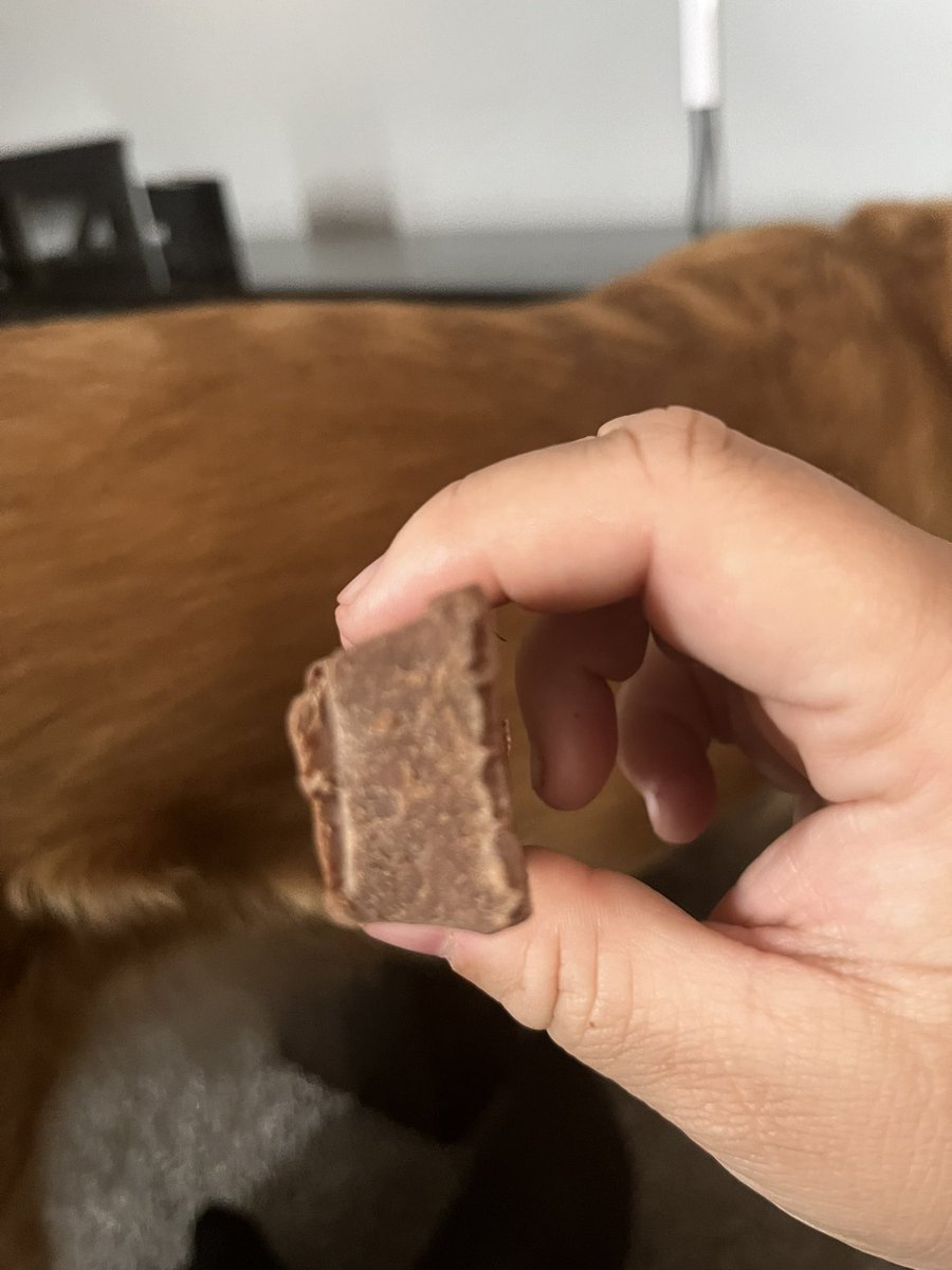 jaydotrey's tweet photo. @KITKAT @NestleUSA I will be expecting a DM where I can give you my address so I can get the wafers I rightfully deserve https://t.co/3rCPrjagWJ
