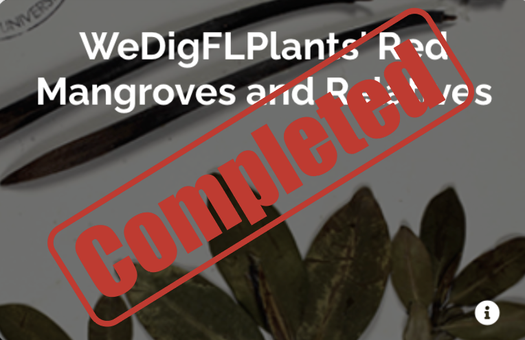 2023 WeDigBio's Why Dig Bio–Major Motivations Across Scale for Digitizing Biodiversity on Vimeo