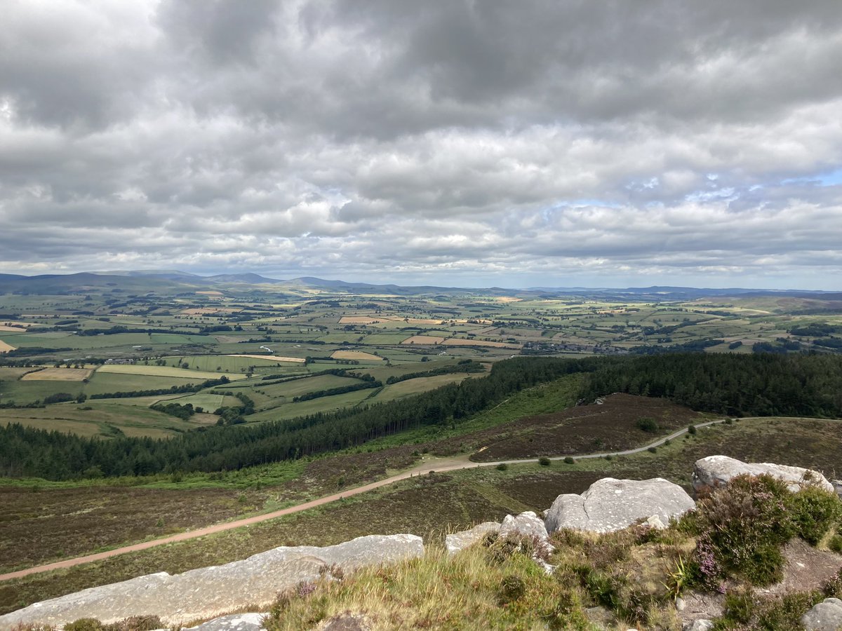Perfect wellbeing day today. Some might prefer to slob on the sofa, snoozing and bingeing on a box set. But seeing as that’s my normal Saturday night 🙈 I like to get out for a walk with no one but myself. Pure indulgence. Thank you <a href="/MuckleLLP/">Muckle LLP</a> 😎🥾🌳🚶‍♀️