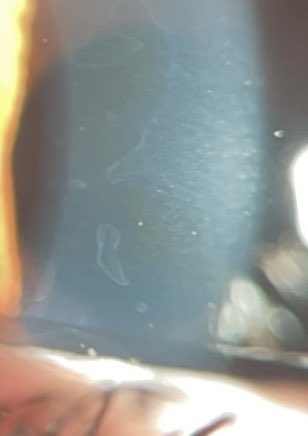 Josep Torras tweet media