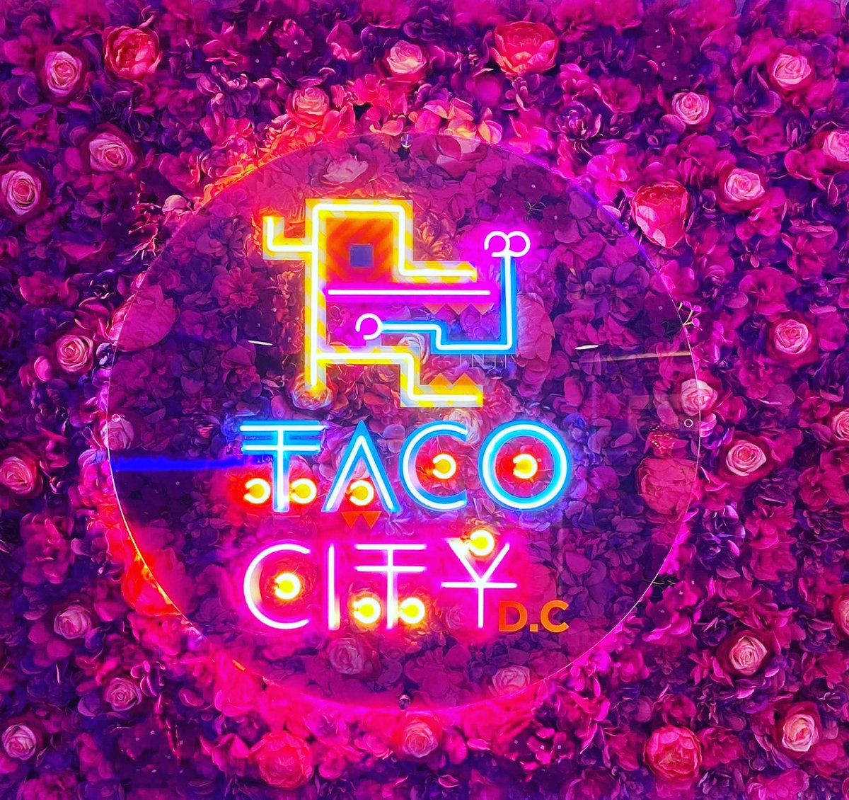 Taco City DC tweet media