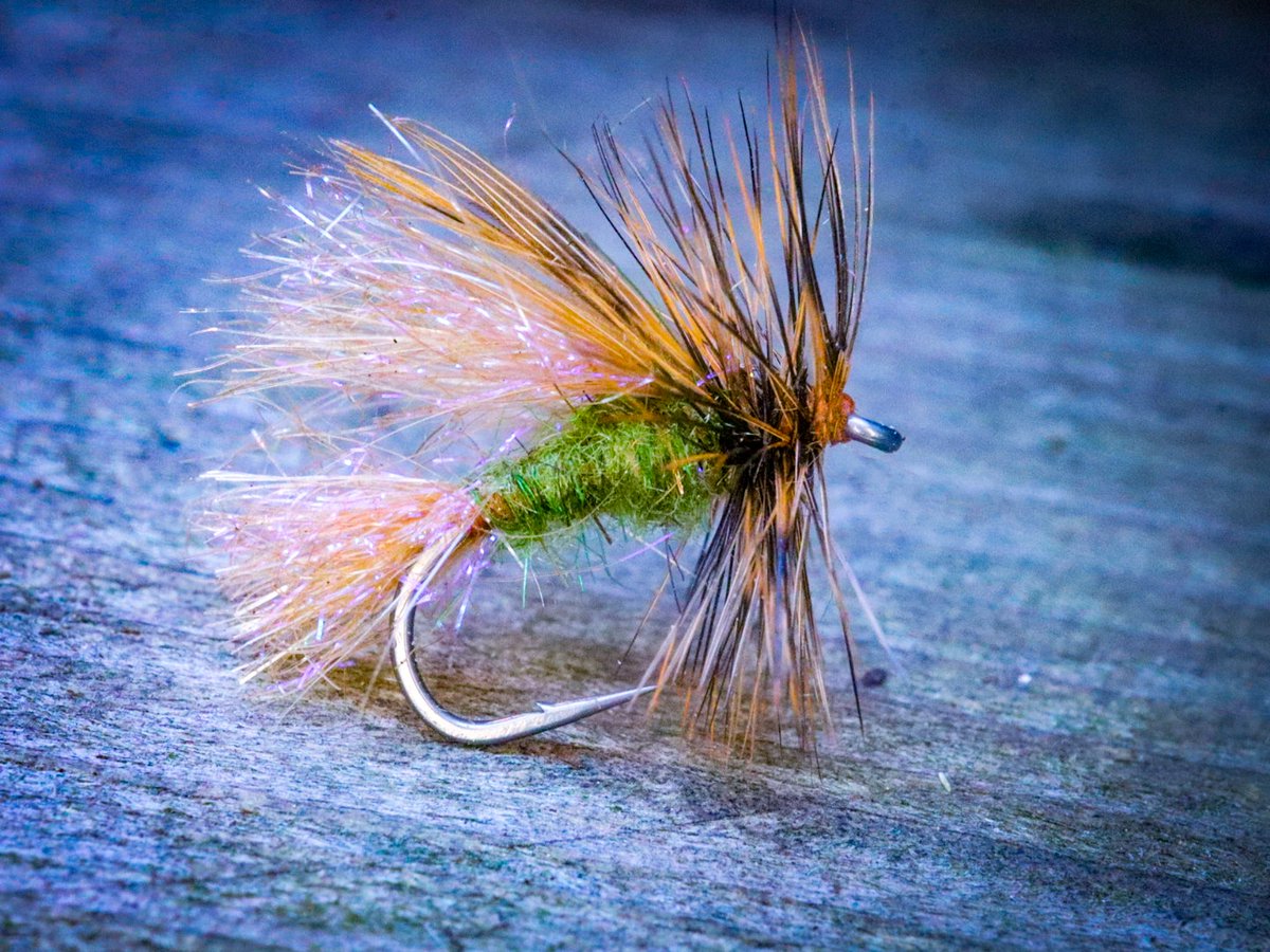 Deb Paskall (@debpaskall) on Twitter photo "Deb's Sparkle Caddis" fly tying video now on <a href="/sfotf/">SFOTF - Sport Fishing On The Fly</a>
Great pattern, especially for low light conditions.
Link: youtu.be/eT15AQYK58Y
#caddisfly #flytying #flyfishing #sfotf #flyfishing "Deb's Sparkle Caddis" fly tying video now on <a href="/sfotf/">SFOTF - Sport Fishing On The Fly</a>
Great pattern, especially for low light conditions.
Link: youtu.be/eT15AQYK58Y
#caddisfly #flytying #flyfishing #sfotf #flyfishing